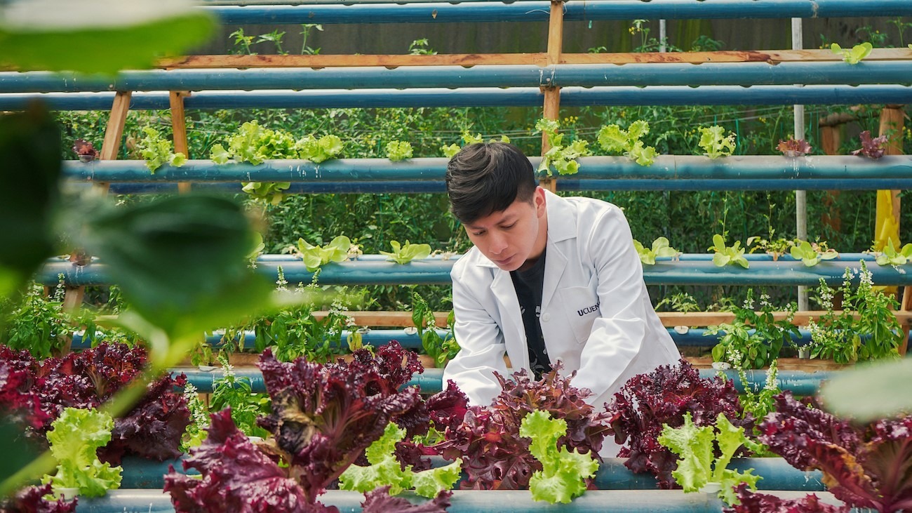 ingeniero agronomo